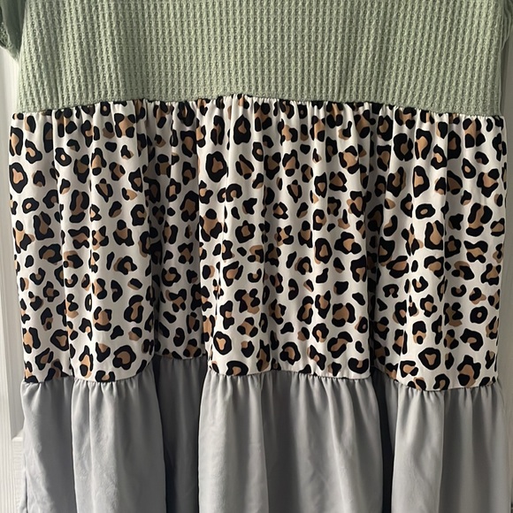 Leopard/Color Block Dress - Picture 2 of 3